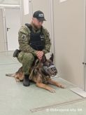 Vojenská polícia sa zúčastnila cvičenia Joint International K9 Workshop Berlin- Brandenburg