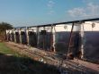 Vojenská polícia má nové koterce pre služobných psov