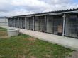 Vojenská polícia má nové koterce pre služobných psov