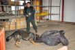Spoločný výcvik psovodov a psov ozbrojených zložiek