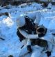 Zimné cvičenie WINTER WARDENS v centre výcviku Lešť