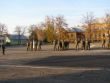 Vojensk nstup