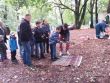 Cesta slnenou sstavou a shvezdiami